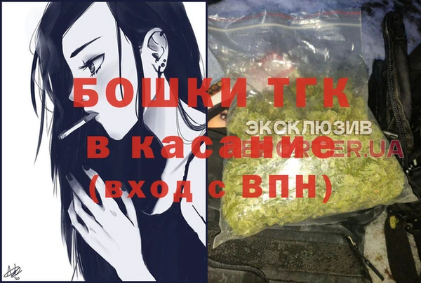 прущие грибы Алексеевка