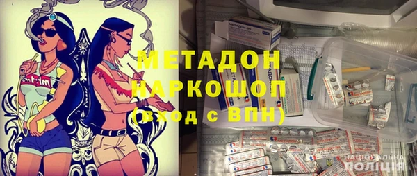 прущие грибы Алексеевка