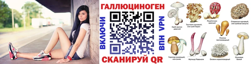 Купить закладки  Собинка  Псилоцибиновые грибы Psilocybine cubensis 